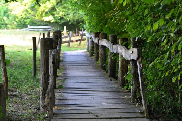 Un passage en bois dans le parc